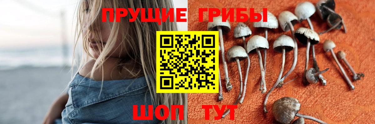 Псилоцибиновые грибы Psilocybine cubensis  купить наркоту  Вход с VPN  Гагарин  Галлюциногенные грибы GOLDEN TEACHER 